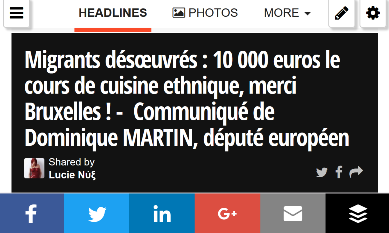 Migrants désœuvrés : 10 000 euros le cours de cuisine ethnique,  merci Bruxelles ! -  Communiqué de Dominique MARTIN, député européen